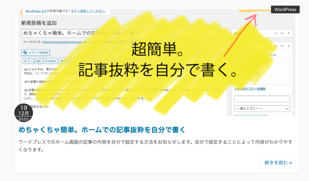 記事抜粋を自分で書く